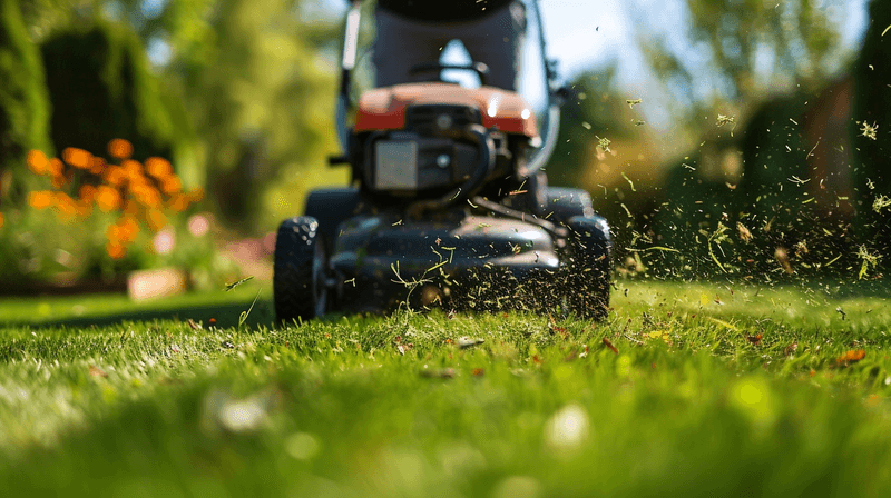 Lawn Mower